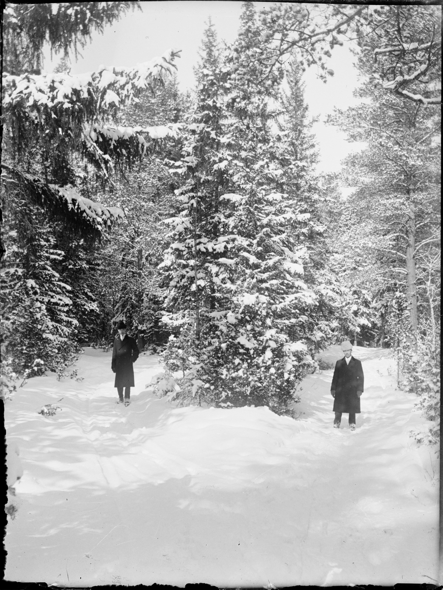 Skötsner-Edhlund, Two Men Standing in the Snow at a Great Spruce, Östhammar, Uppland