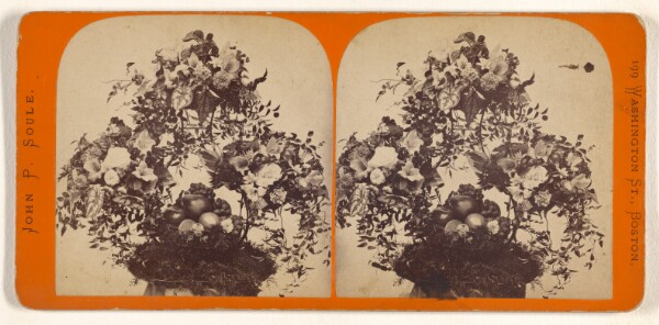 John P. Soule, [Basket of fruit and flower arrangement]