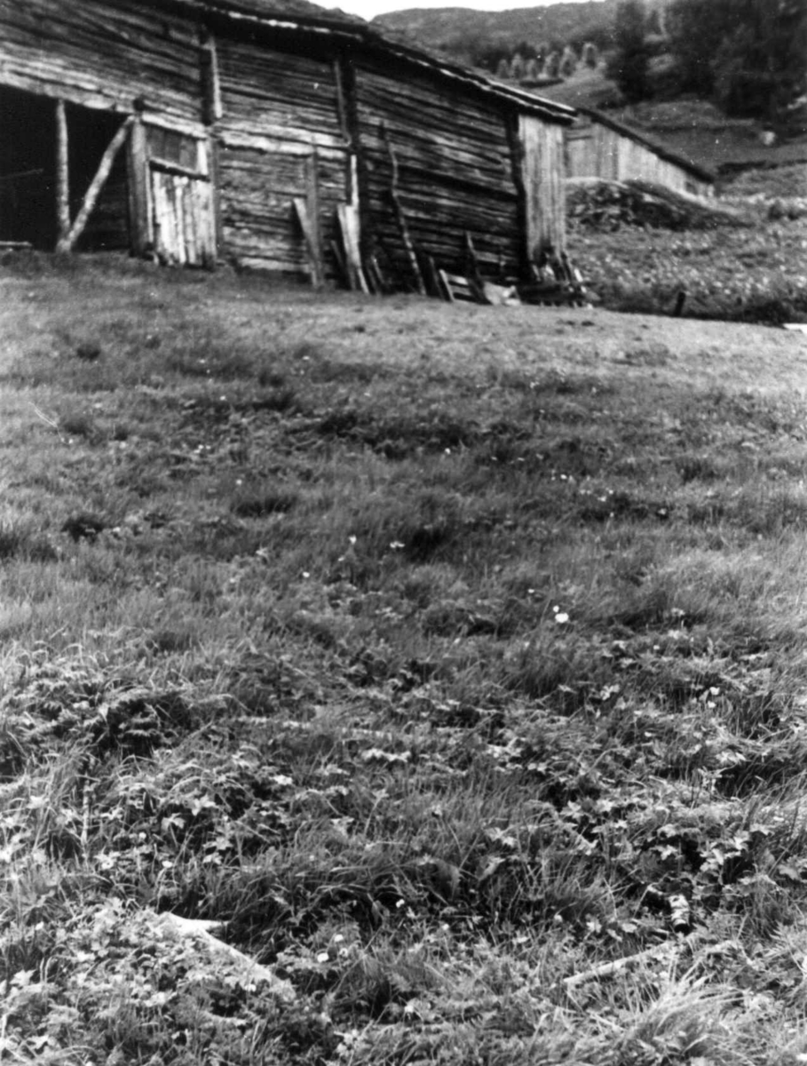 Anna Grostøl, Gammel offerplass på Haddeland i Eiken, uthus i bakgrunnen, 1941.