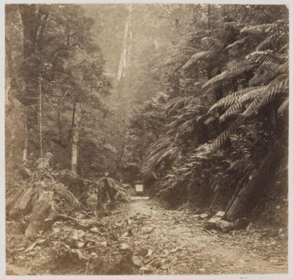 unknown, Photograph