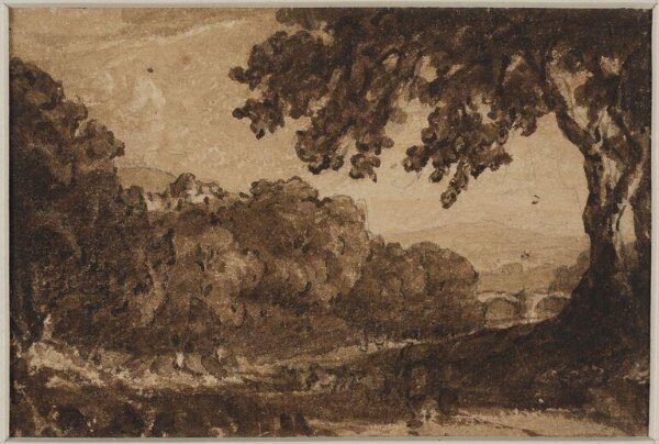 Unknown, Drawing
