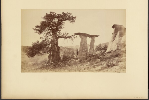 William Henry Jackson, Monument Park, The Dutch Wedding
