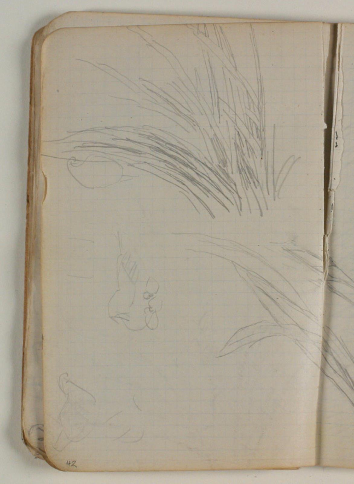 Niels Larsen Stevns, Plantestudier