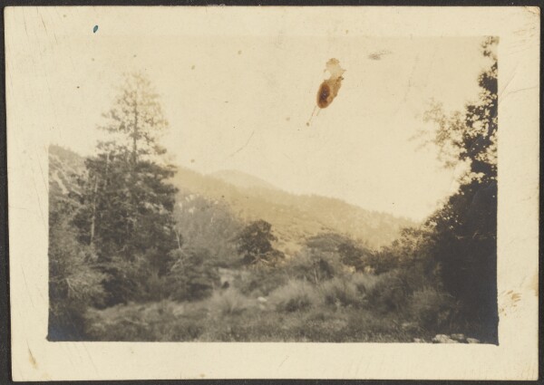 Louis Fleckenstein, [Landscape]