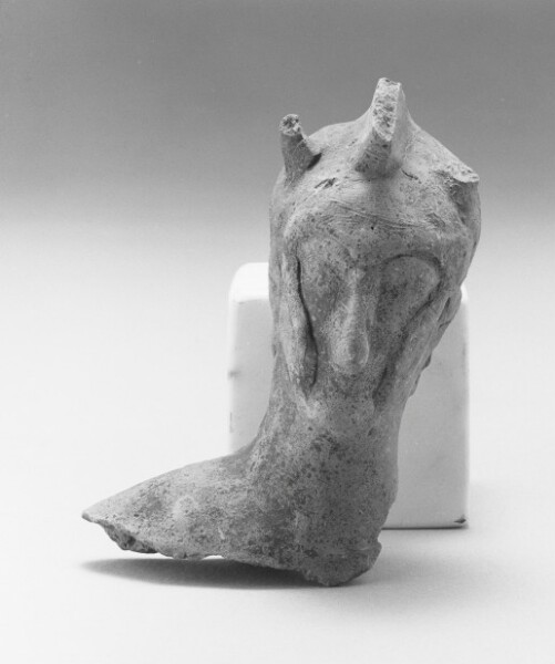 Unknown, Male Head