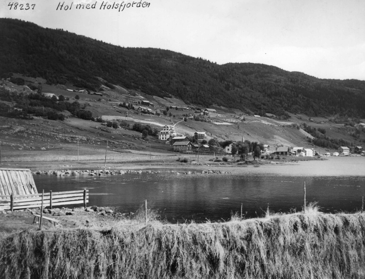 Anders Beer Wilse, Oversiktsbilde, Holsfjorden, Bebyggelse