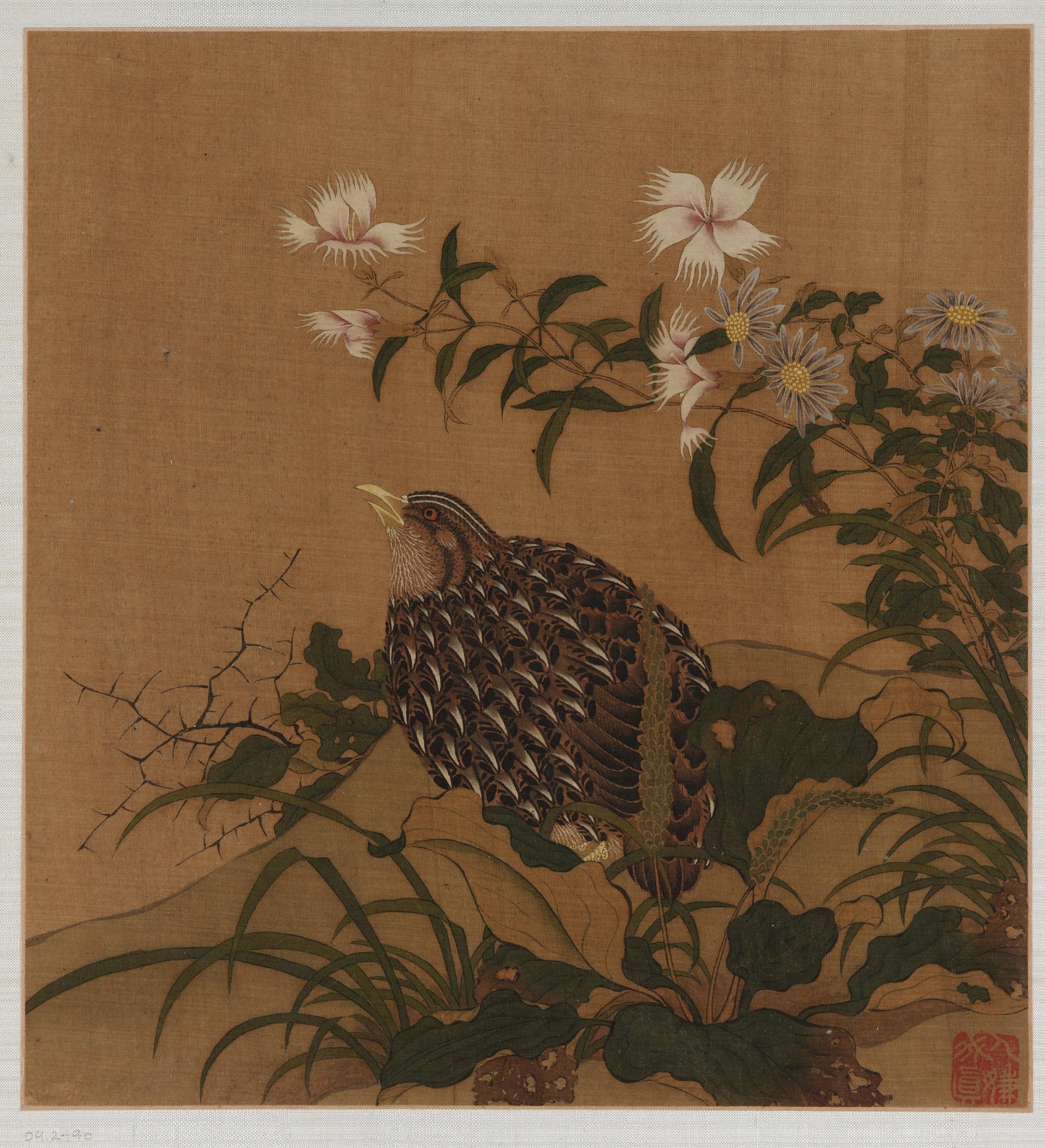 Formerly attributed to Zhao Boju, Quail and flowers