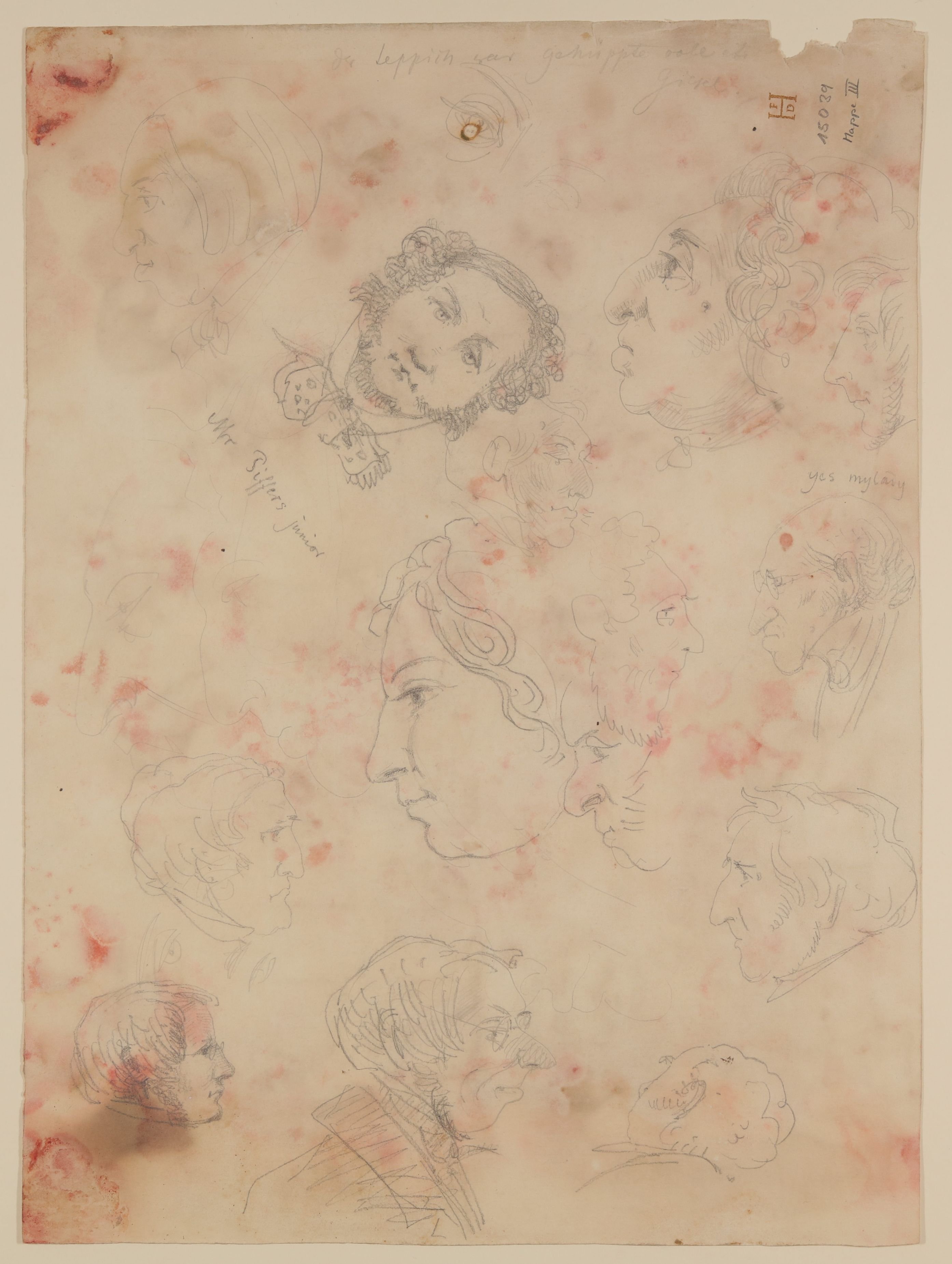 Gisela von Arnim, Skizzenblatt mit Porträtstudien [aus Mappe III aus dem Sommerhoff-Nachlass]