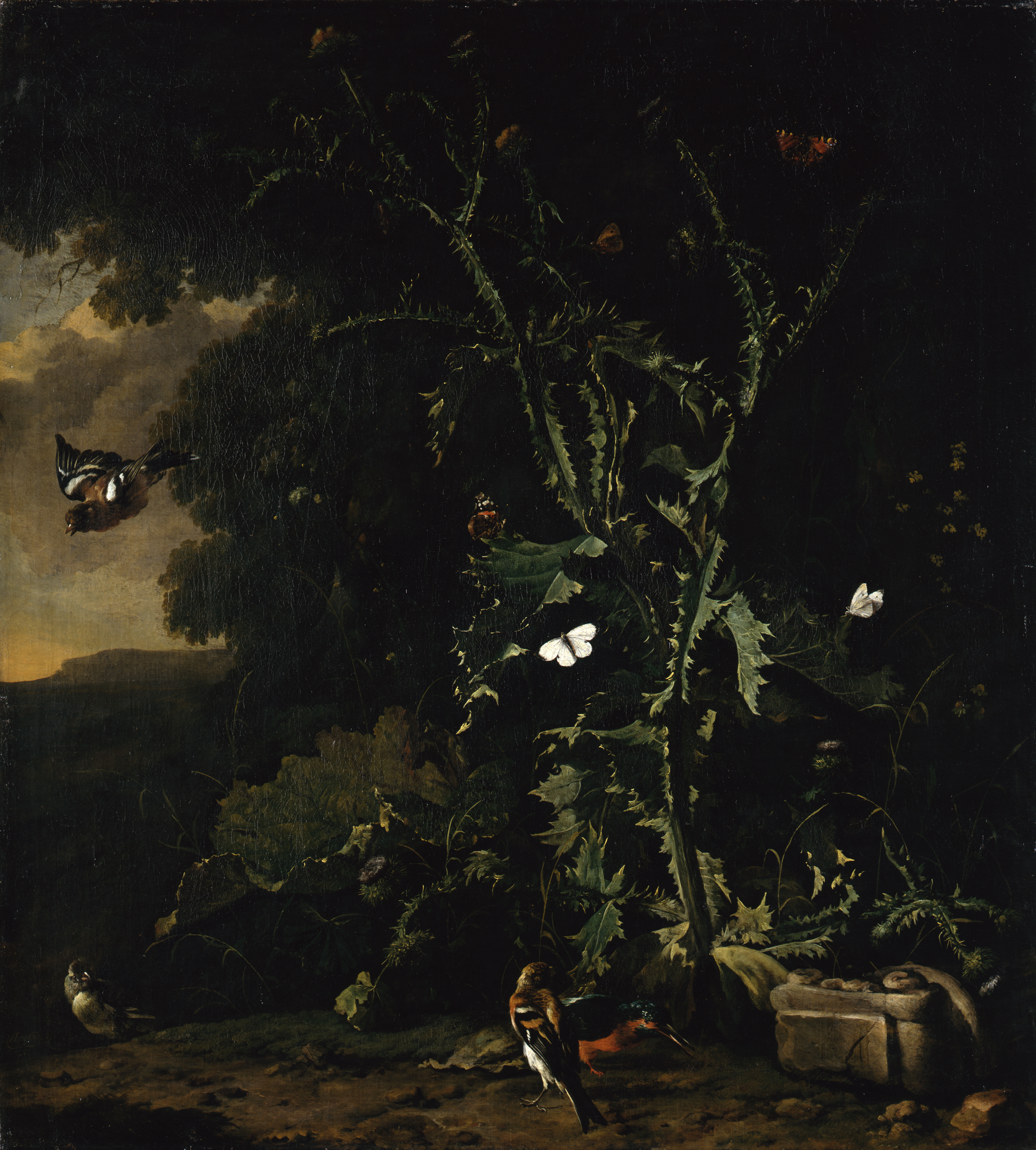 Abraham Begeyn, Still Life with Thistles and Birds