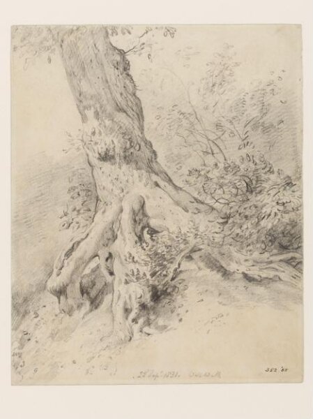 Constable, John (RA), The root of a tree, at Hampstead