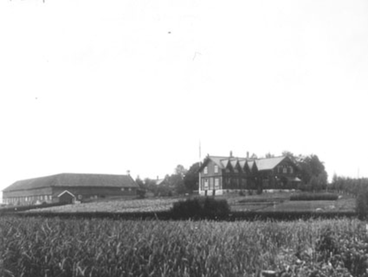 Anno Domkirkeodden, EKSTERIØR: INTERNATBYGNING, JØNSBERG LANDBRUKSSKOLE, ROMEDAL,
