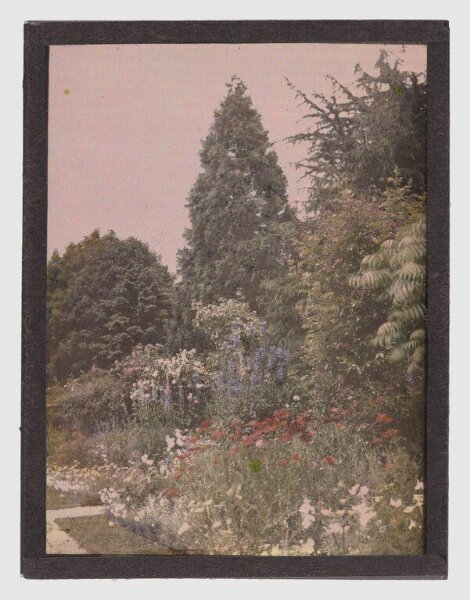 Unknown, Garden study