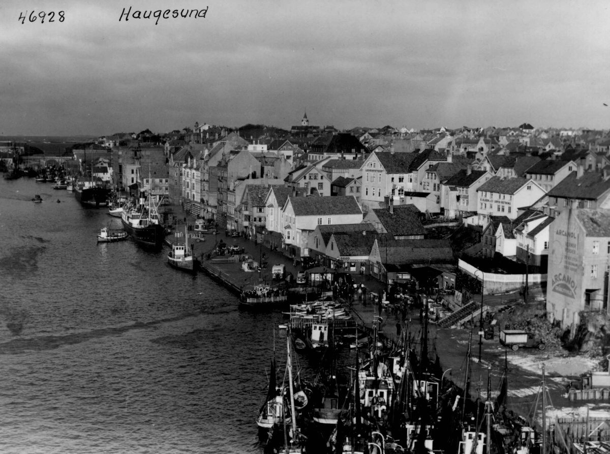Anders Beer Wilse, Wilse original, havn, fiske.