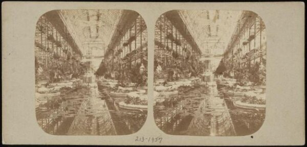 William England, Photograph
