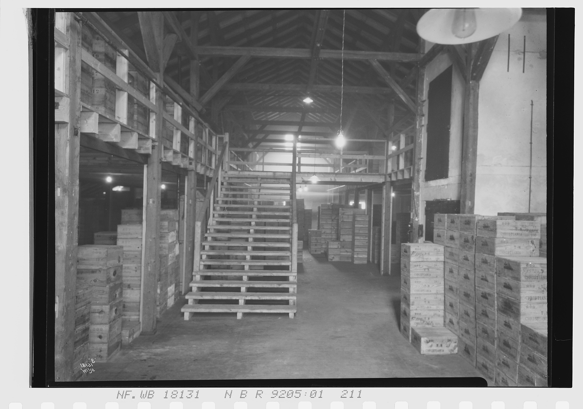 Anders Beer Wilse, Prot: Vinmonopolet