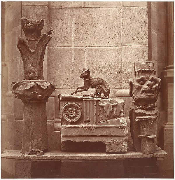Charles Marville, Le Chat Momifié (trouvé dans les fouilles de Saint-Germain-en-Laye)