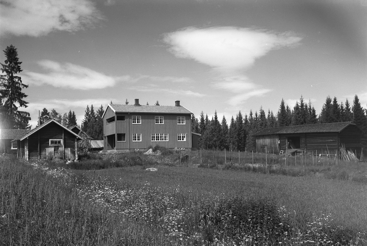 Anno Domkirkeodden, EKSTR: GARDSTUN, NORDSVEEN ØSTRE, LØTENNØKLEBYSKOGEN. Se Løtenboka, bind 3. Bygdeboka fra 1955, side 651