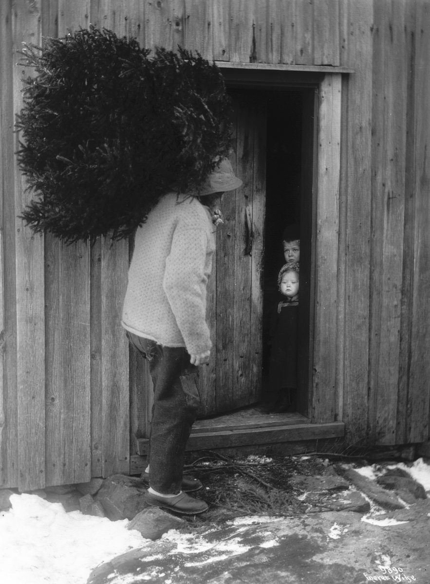 Anders Beer Wilse, Prot: Fiskeren med Juletre 1909