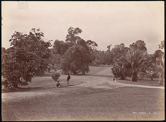 Unknown, Botanical Garden