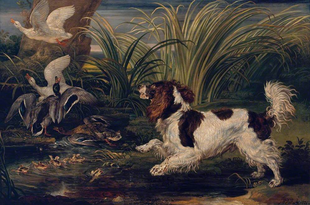 James Ward, A Spaniel Frightening Ducks