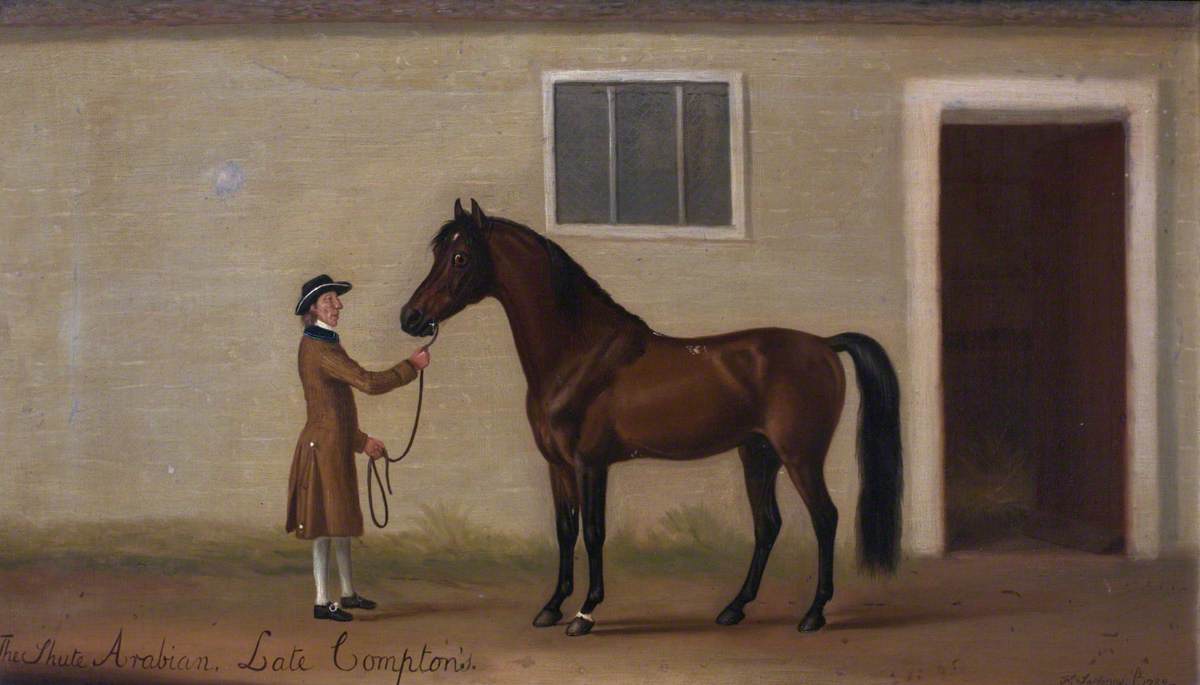 Francis Sartorius, The Shute Arabian