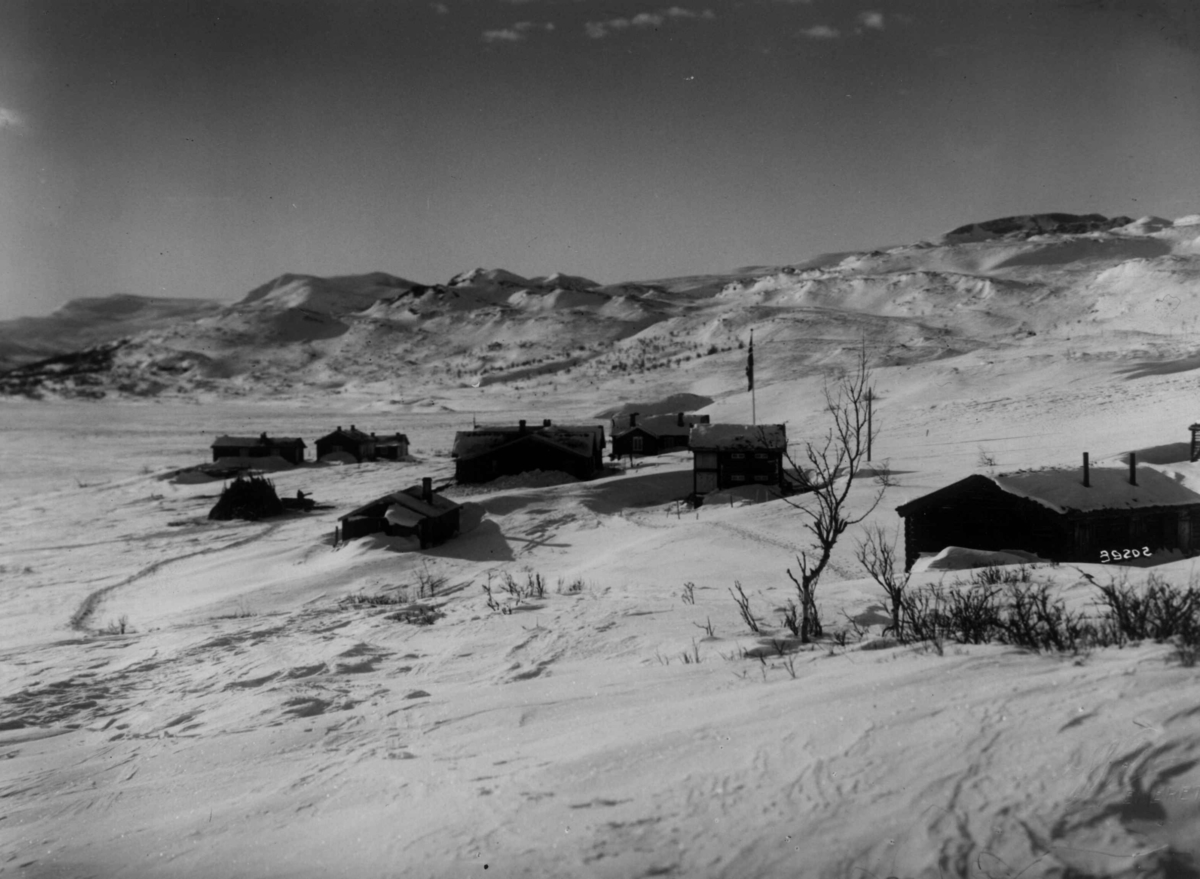 Anders Beer Wilse, Bessheim, Jotunheimen, Sno