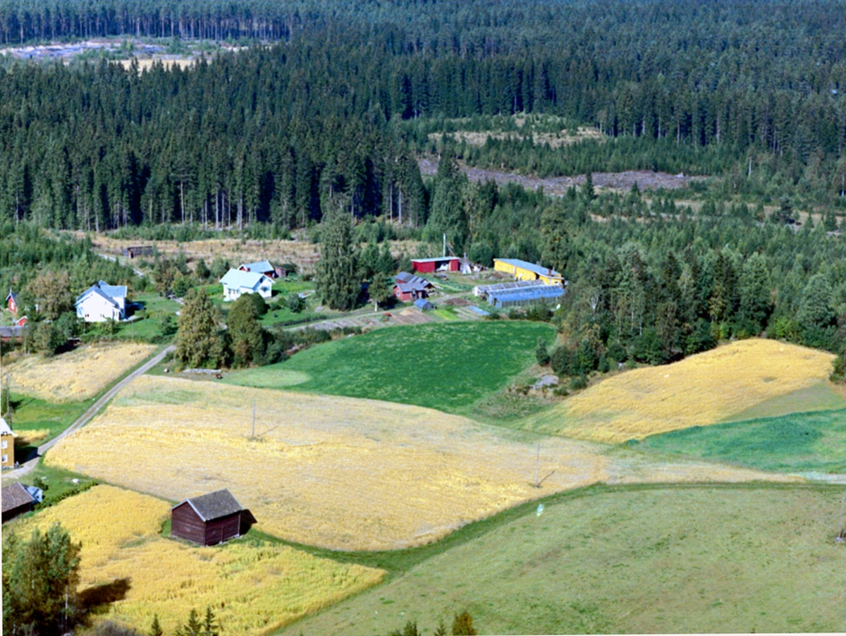 Widerøes Flyveselskap A/S, Flyfoto, Herdal gartneri, Løten.