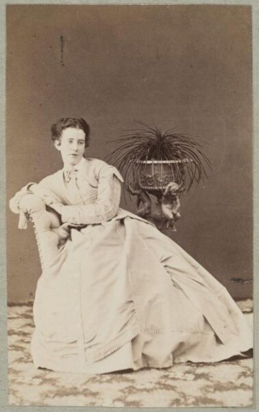 Unknown, Carte-de-visite photographs (480). Four photographs  are dry-mounted to each sheet (120).