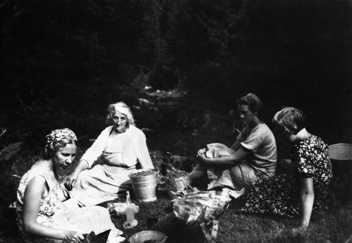 Anno Domkirkeodden, ØSTRE SKOGBYGD, BLÅBÆRPLUKKING, FRA VENSTRE: THORA VANGEN, OLGA GRAFF, OLAUG VERGE F. GRAFF, SVANHILD GRAABERGET F. GRAFF