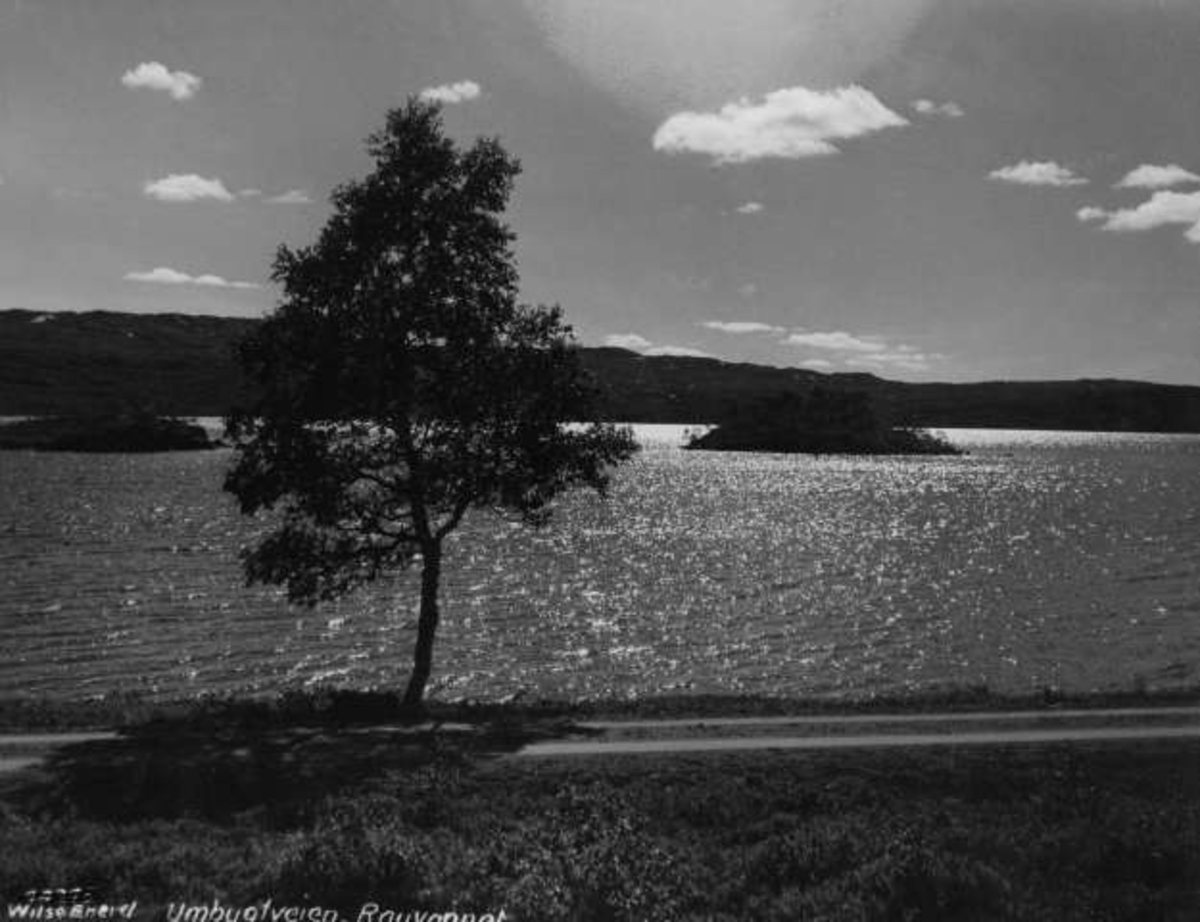 Anders Beer Wilse, -6414