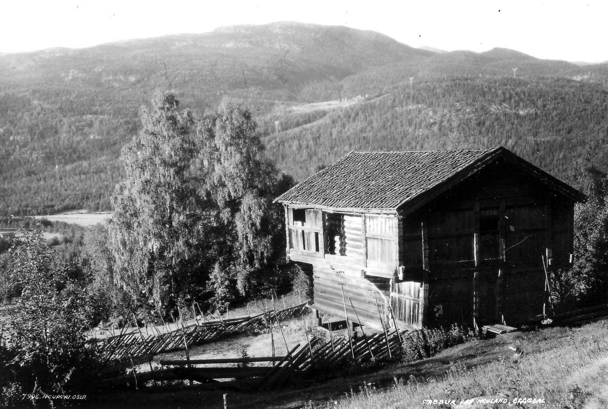Hermann Christian Neupert, Hovland? Eggedal, Sigdal. 1930. Oversiktsbilde. Landskap. Skog. Stabbur. Skigard