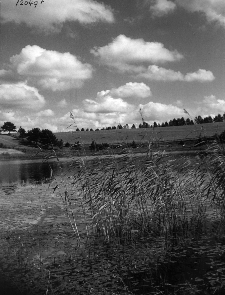 Anders Beer Wilse, V/ Raknehaugen