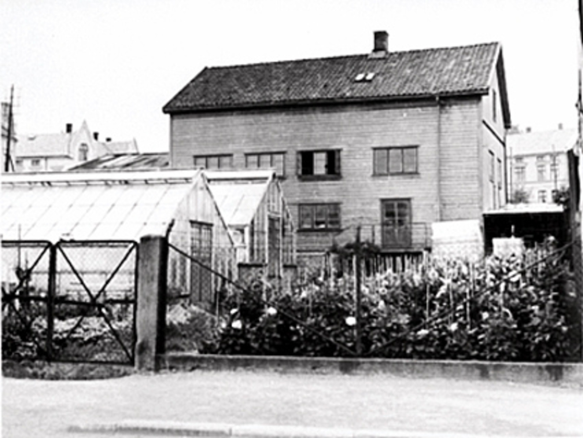 Anno Domkirkeodden, EKSTERIØR DRIVHUS OG UTHUS MED KRANSEBINDERI, O. FUGLSETHS HANDELSGARTNERI,