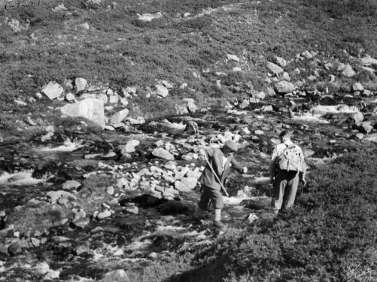 Anders Beer Wilse, Sølen, Rendalen