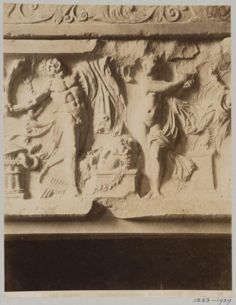 unknown, Photograph