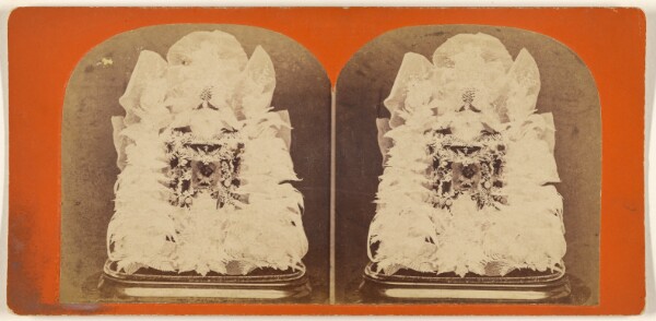 Edward and Henry T. Anthony & Co., Beautiful Study in Skeleton Leaves.
