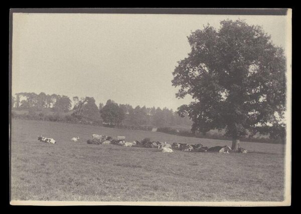 Gale, Lt. Col. Joseph, Rural Life