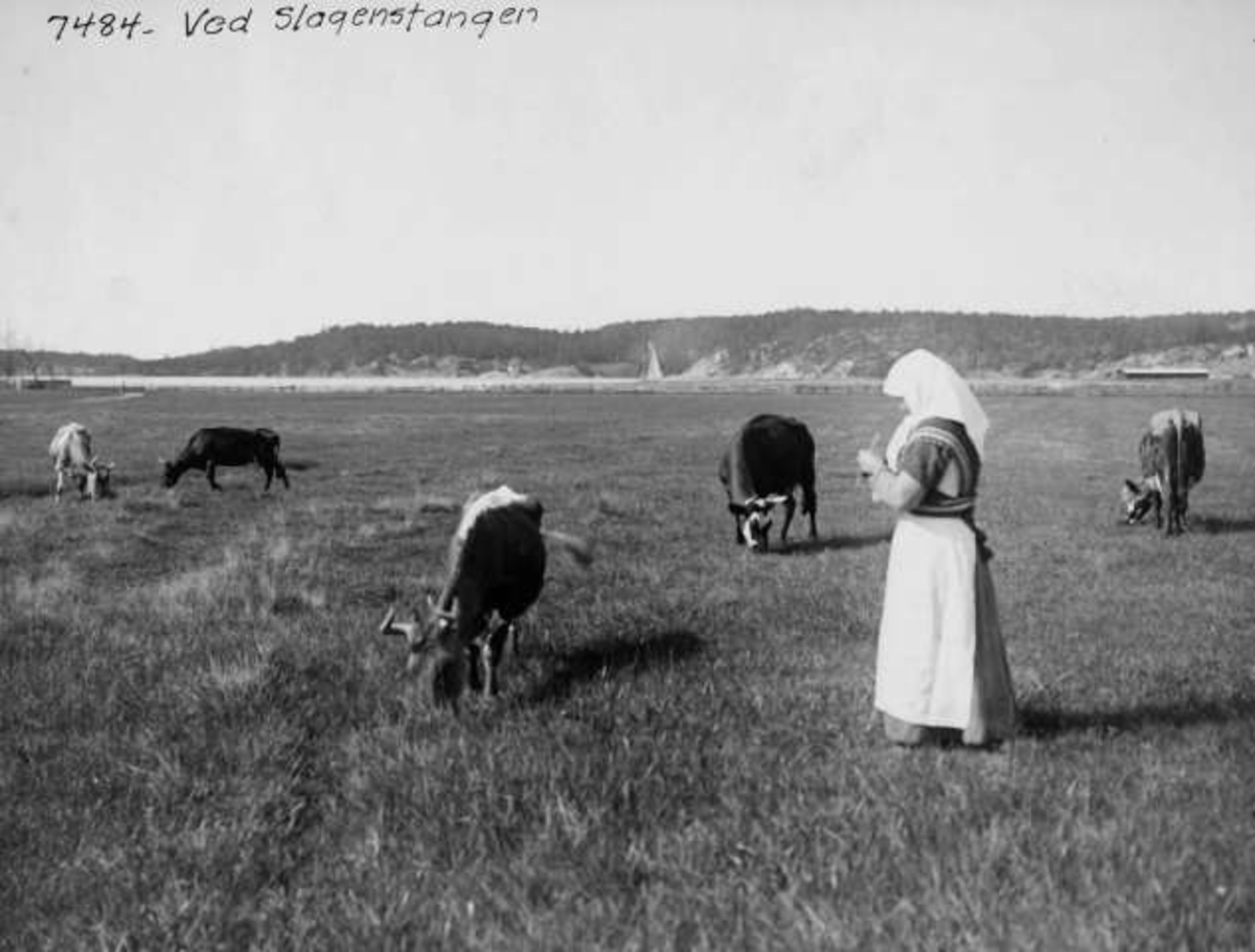 Anders Beer Wilse, -7893