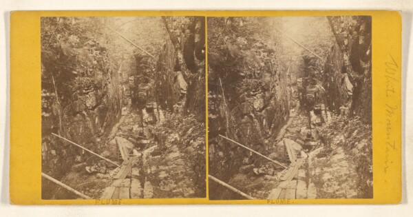 John B. Heywood, Flume. [White Mountain]