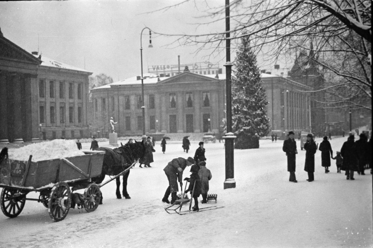 Anders Beer Wilse, Prot: Oslo ved snefall