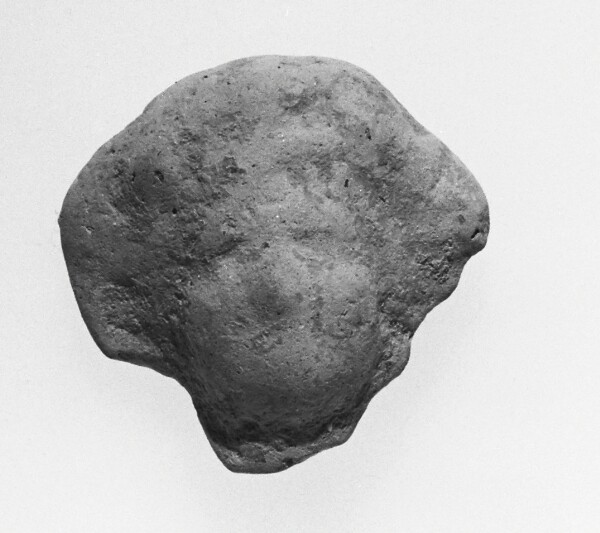 Unknown, Female Head