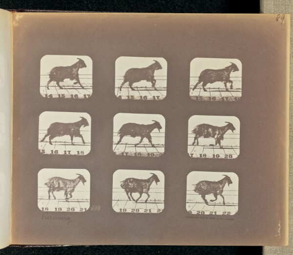 Eadweard J. Muybridge, Running