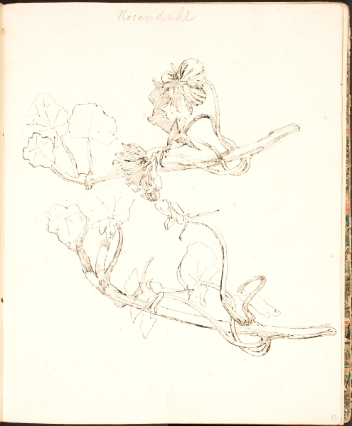 Lorenz Frølich, Plantestudier