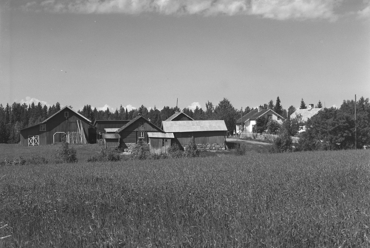 Anno Domkirkeodden, EKSTR: GARDSTUN, SØRSVEEN VESTRE, LØTENSØSVEA. Se Løtenboka, bind 3. Bygdeboka fra 1955, side 700