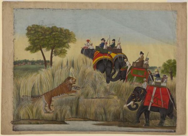 Unknown, Four elephants with Europeans seated in the howdahs taking part in a tiger hunt.