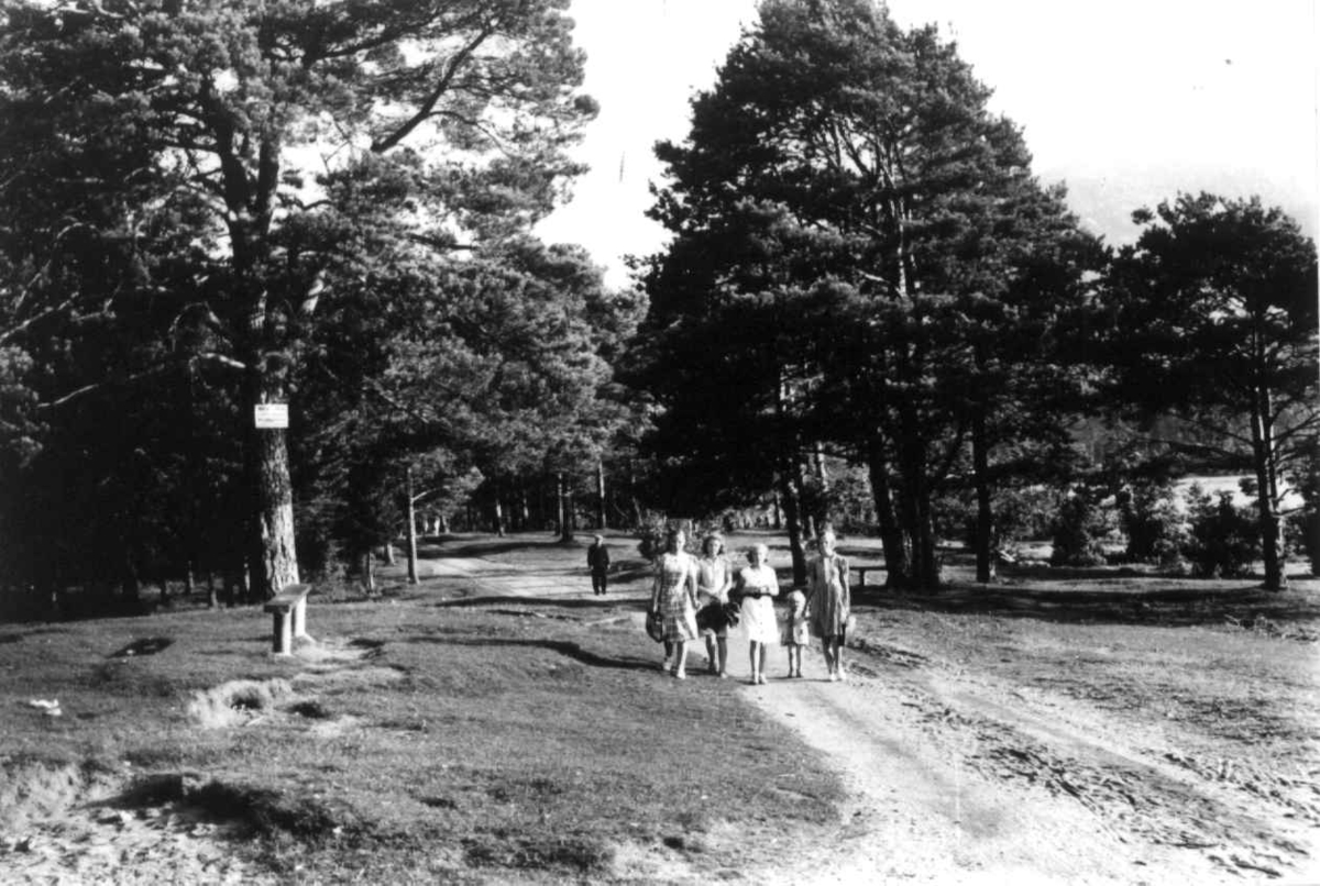 Hermann Christian Neupert, Voss 1939. Trær. Kvinner og barn spaserende på en vei.