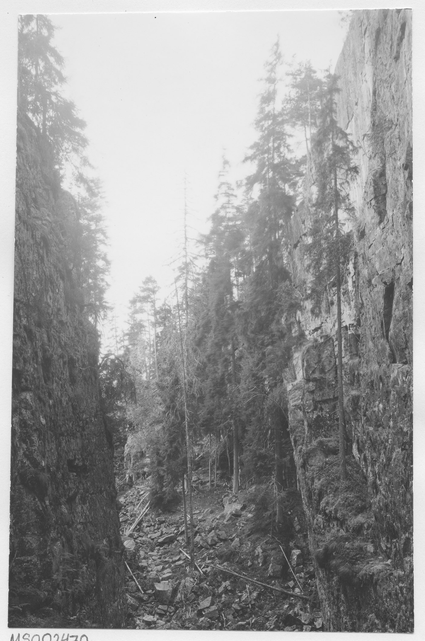 Mårten Sjöbeck, Skurugata naturreservat
