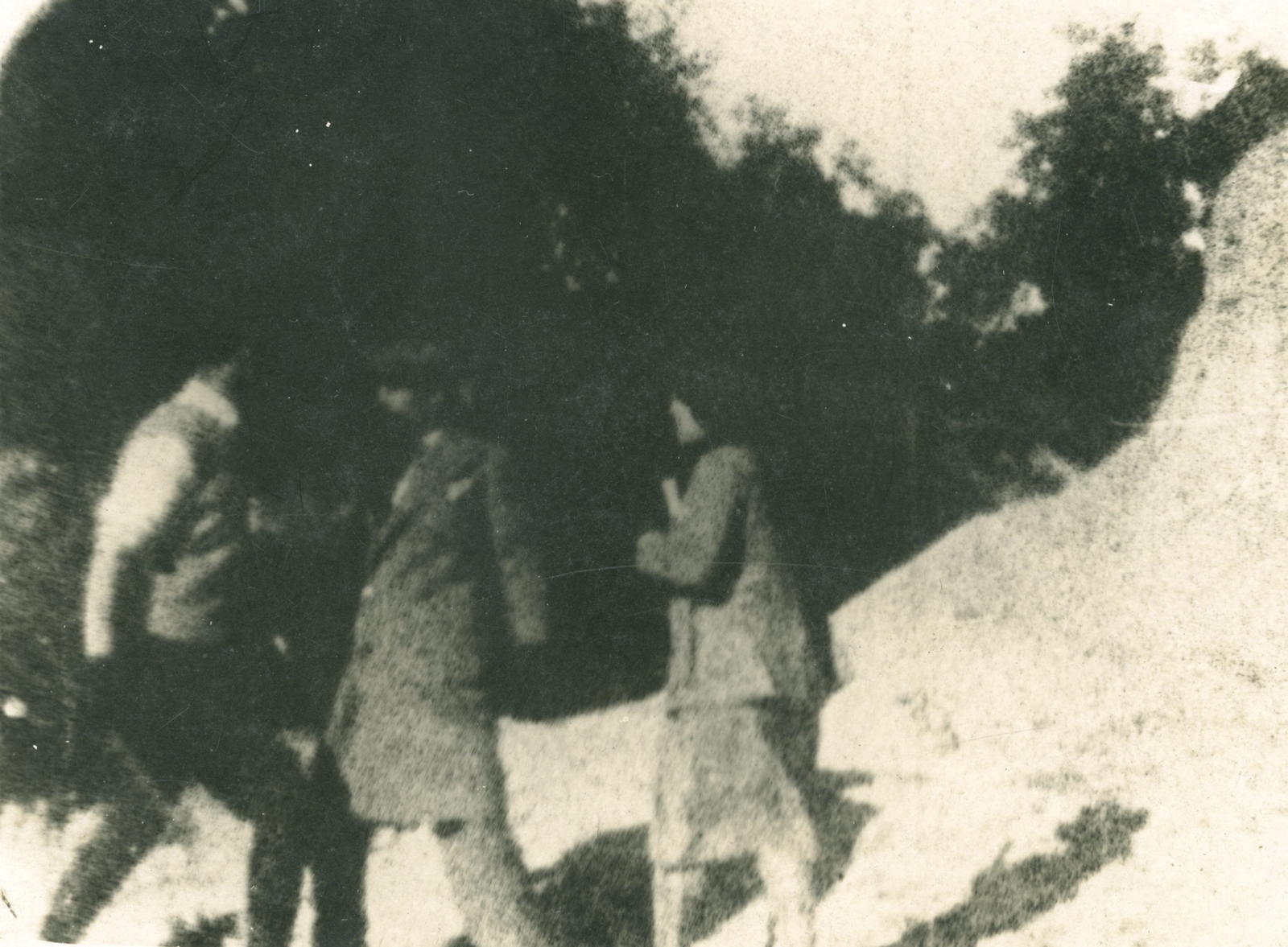 Desconegut, [The abduction of Maria Rosa]