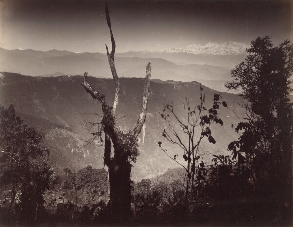 Samuel Bourne, View from Senchal