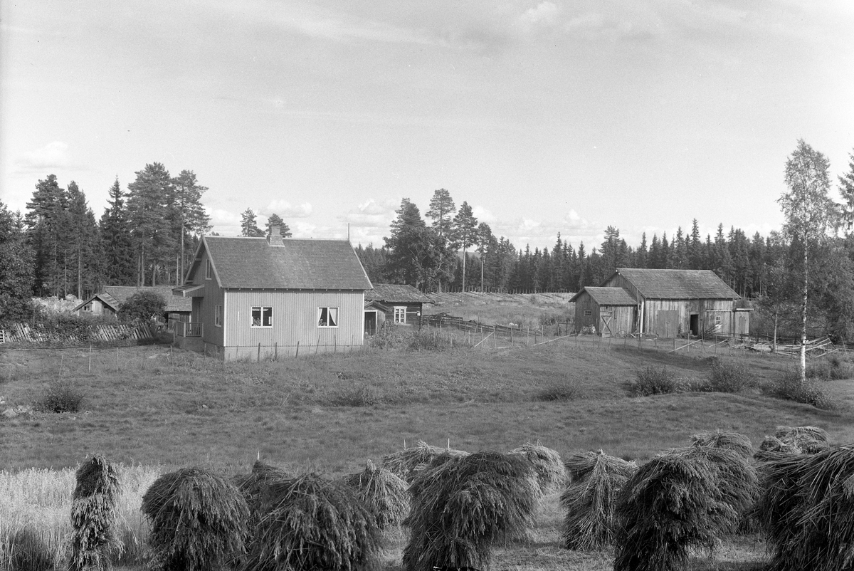 Anno Domkirkeodden, EKSTR: GARDSTUN, OLEHUSET, OLEHUSET VESTRE, LØTEN. Se Løtenbok nr. 3 fra 1955 side 824